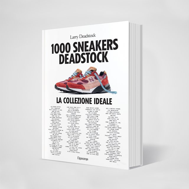 Books: “1000 Deadstock sneakers” – Larry Deadstock