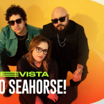 Interview with Hello Seahorse!