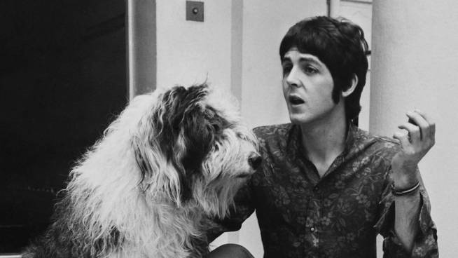 Paul McCartney wrote songs to his dog.  He wrote a song for his dog Martha, titled “Martha, my dear” that appears on the 1968 album, The White Album.