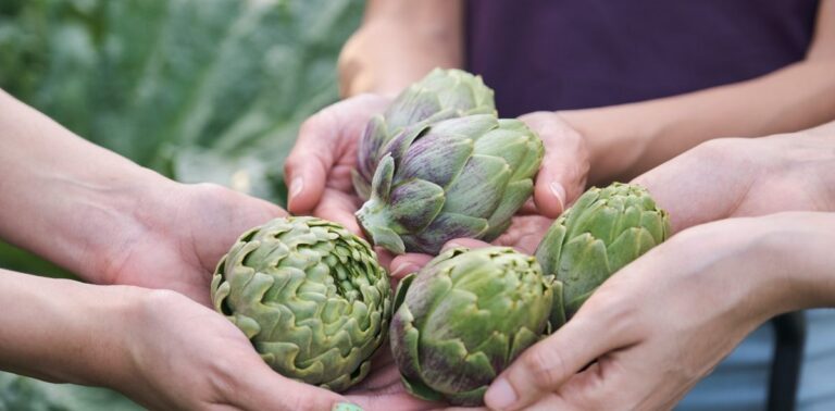 Artichoke