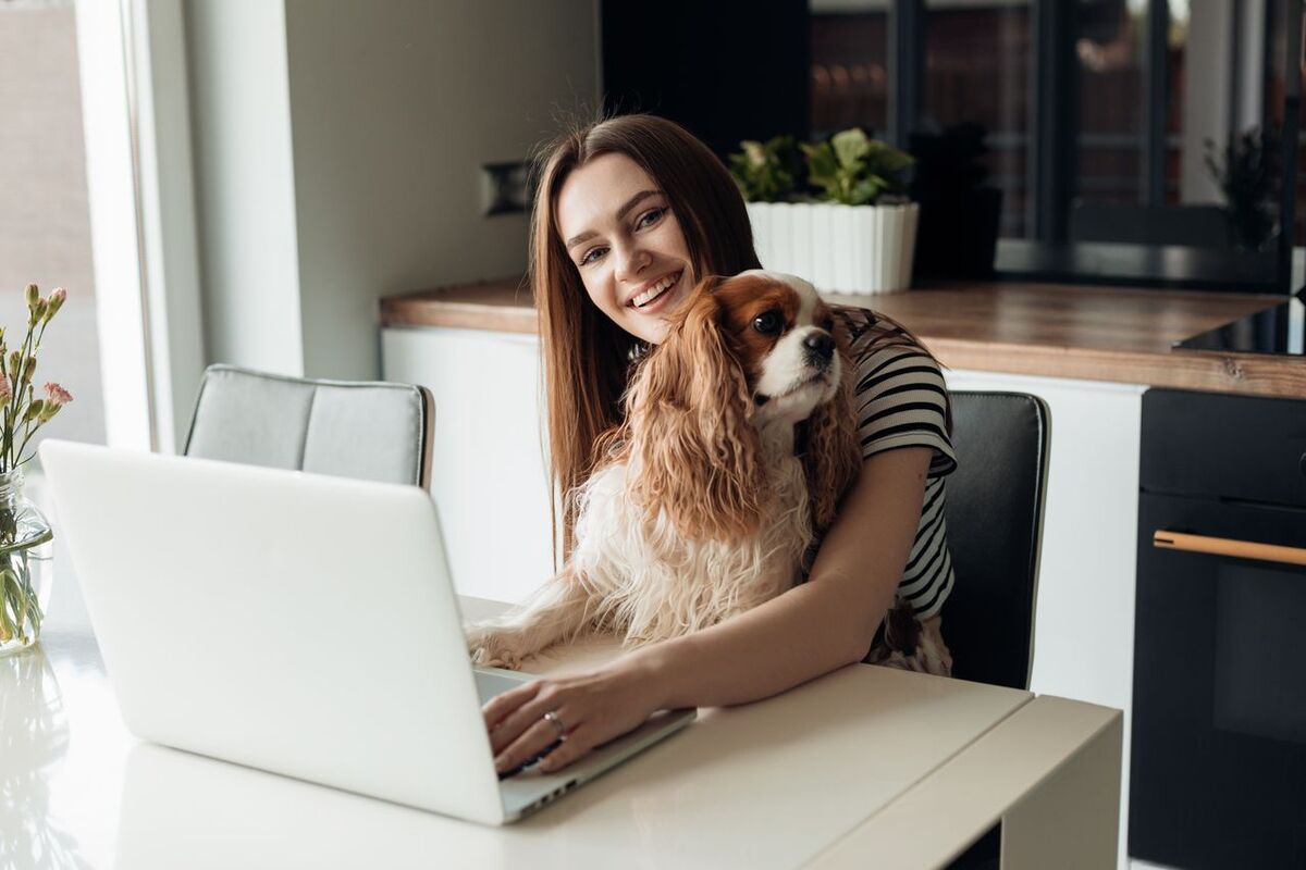 Cavalier King Charles Spaniel