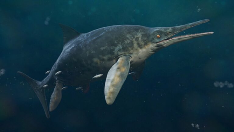 Giant Marine Reptile