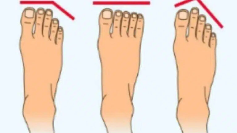 Shape Of Your Feet