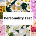 personality test