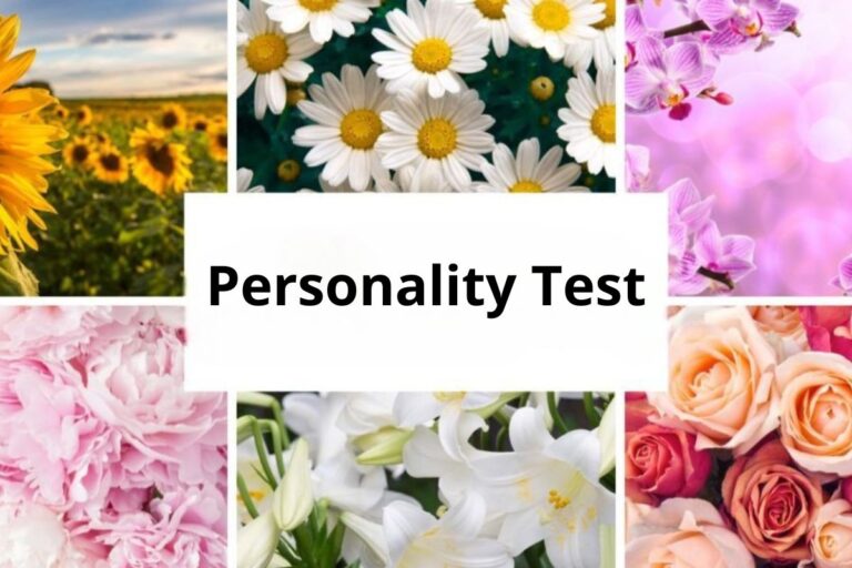 personality test