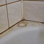 A Simple Way to Make Your Bathroom Tile Grout Sparkle