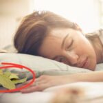 Why Is Everyone Suddenly Placing Bay Leaves Under Their Pillow?