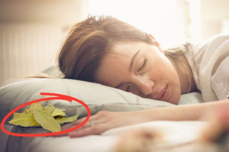 Why Is Everyone Suddenly Placing Bay Leaves Under Their Pillow?