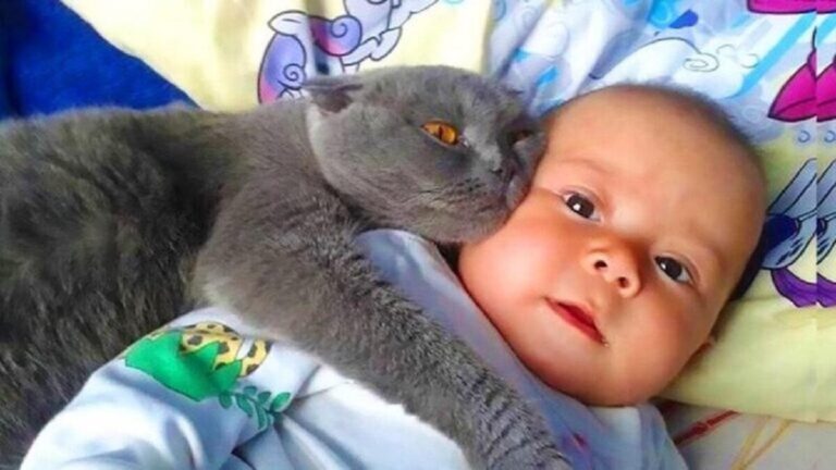 Their Cat Won't Leave Their Baby Alone