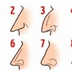 What shape is your nose