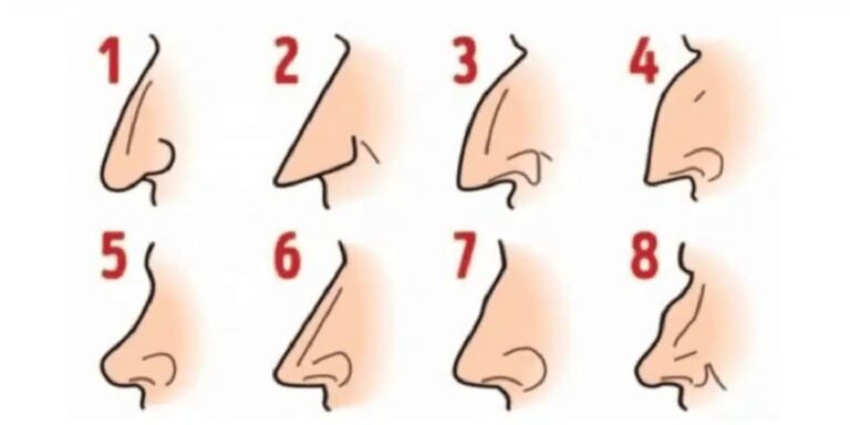 What shape is your nose