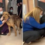 Longtime Shelter Dog Refuses to Leave Without Giving Each Staff Member a Kiss Goodbye