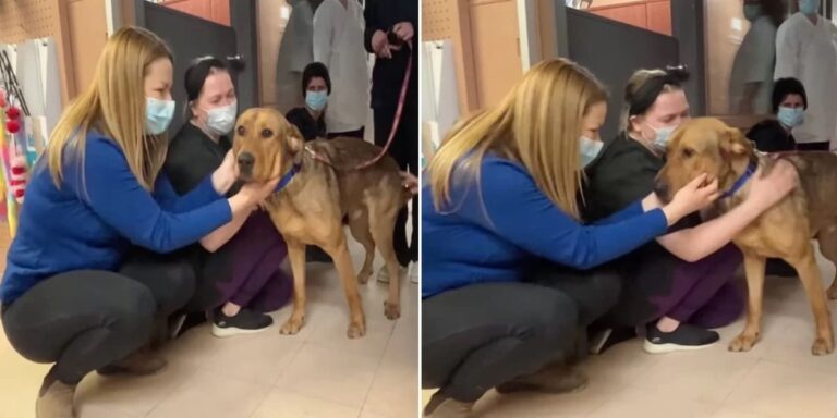 Longtime Shelter Dog Refuses to Leave Without Giving Each Staff Member a Kiss Goodbye