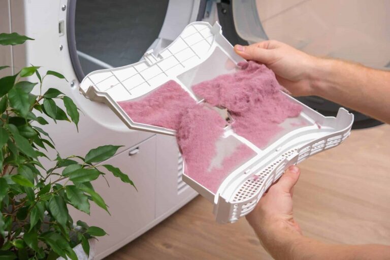 The Lint in Your Dryer