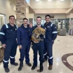 A dog rescued from a shipping