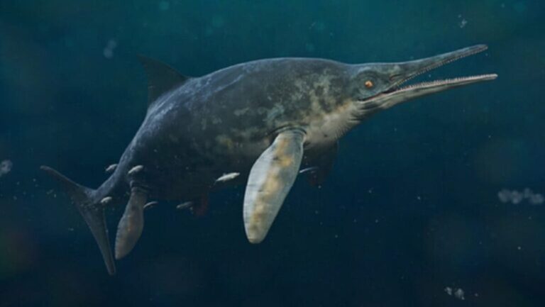 giant marine reptile