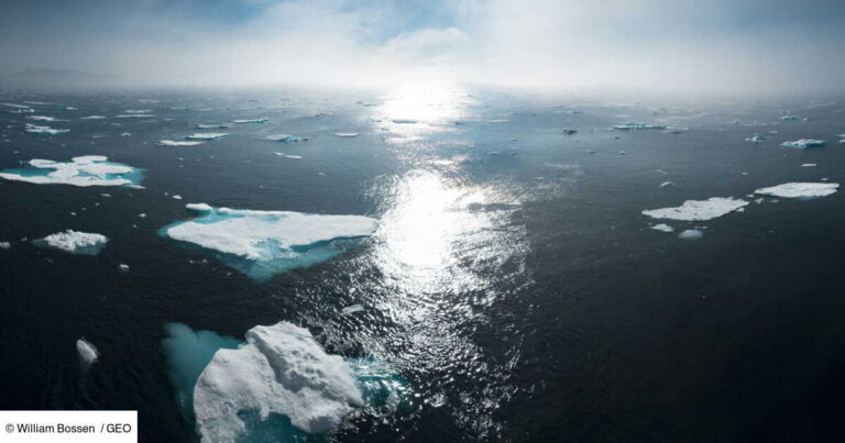 Greenland’s icy waters