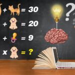 IQ Challenge by Pr Cat