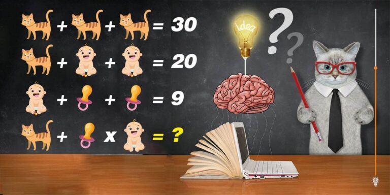 IQ Challenge by Pr Cat