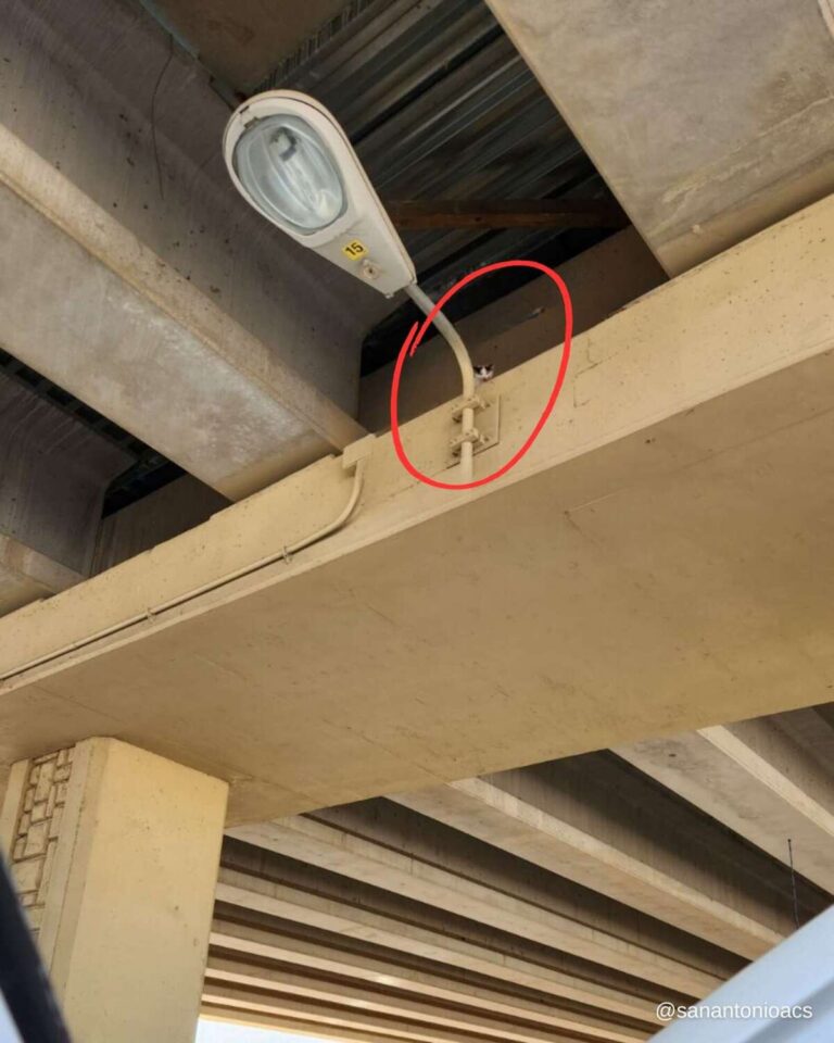 Pedestrian Walking Under a Highway