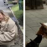 Spending €14,000 to Live as a Dog