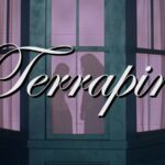 "Terrapin", Clairo's new video