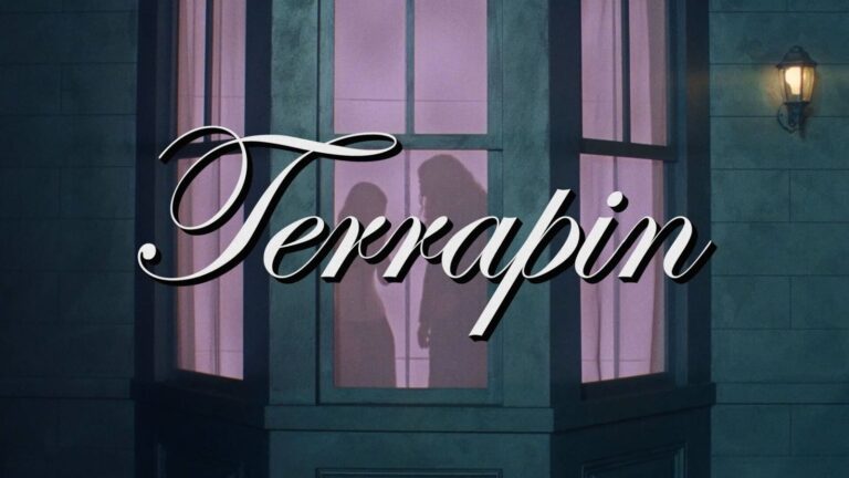 "Terrapin", Clairo's new video