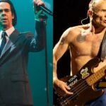 Nick cave meme flea